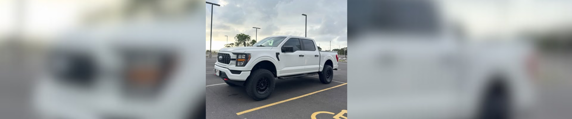 Ford F-150 1 Gallery img 40(1)